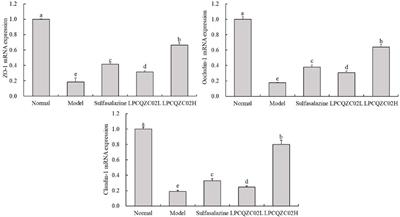 Regulation of colon injury and improvement of exercise performance in exhausted running mice by Lactobacillus pentosus CQZC02